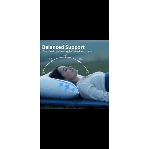 LOVLEYREST KING SIZE STANDARD PILLOW