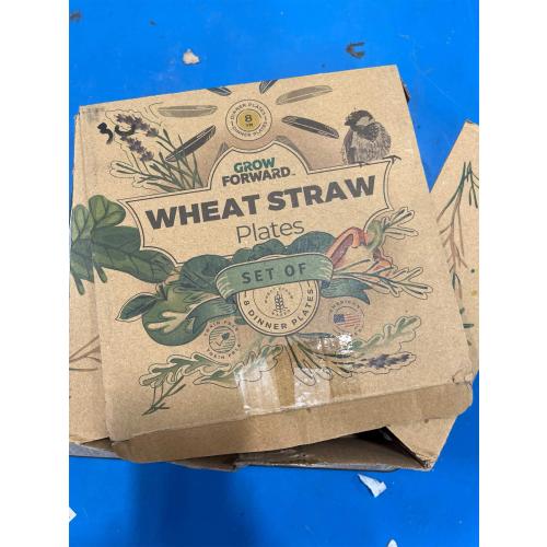 Grow Forward Premium Wheat Straw Dessert Plates - 8 Inch Reusable Hard Plastic Plates Set of 8 - Unbreakable Microwave Safe Plates for Dinner, Camping, RV, Outdoors, Patio, Kitchen Dishes - Tropical