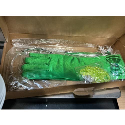 Girls Princess Costume Dress up Green, with Accessories，120