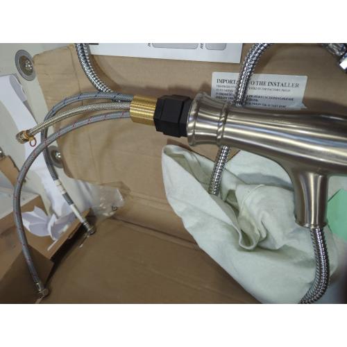 EZ-FLO 10385 Non-Metallic Pull-Out Spout Kitchen Faucet, Brushed Nickel