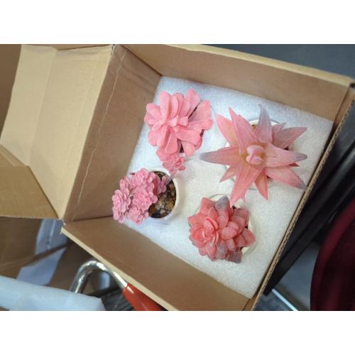 Succulent Pink Bonsai Micro Landscape Potted Plant Decoration 4-Piece Set (with Diamond Pot)