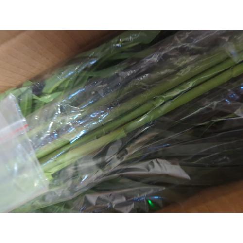 Artificial Palm Tree 4ft Tall Fake Indoor Decor with 13 Trunks and Real Bark Design Faux Tropical Areca Silk Floor Plant in Pot for Home Office Living Room Bedroom 1pcs