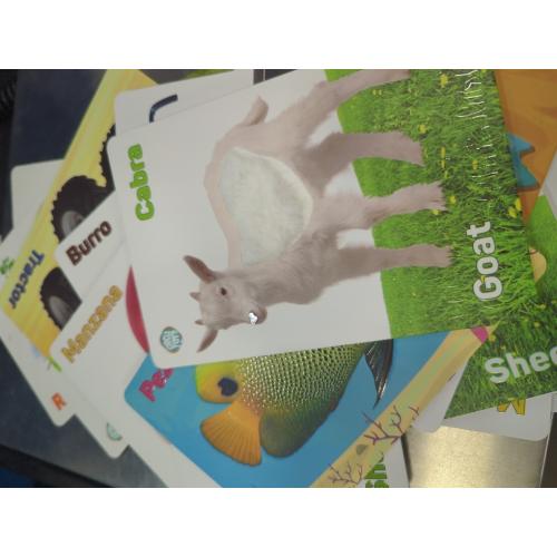 My Touch and Feel English Spanish Bilingual Picture Double Sided Sensory Flash Cards for Infant, Toddlers, Kids, Learn Animals, Fruits, Objects and Vehicles, Fun Learning and Educational Flashcards