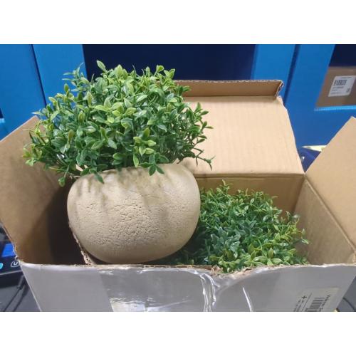 Velener 2Pcs Mini Artificial Boxwood Topiary Faux Plants Indoor- Small Fake Plants Decor Magnolia Home Office Desk Cubicle Farmhouse Kitchen Bookshelf Bedroom Bathroom Decor, Aloe Vera Zen Garden