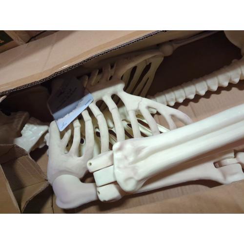 Crazy Bonez Pose-N-Stay Halloween Skeleton, 6 FT – Life-Size, Realistic, Fully Poseable Indoor & Outdoor Decoration, Durable Weather-Resistant Spooky Prop for Yard, Porch, Haunted House