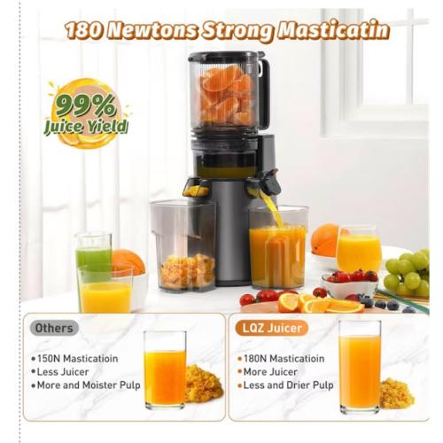 Cold Press Juicer Professional Slow Masticating Juicer for Whole Vegetables & Fruits with High Juice Yield Black