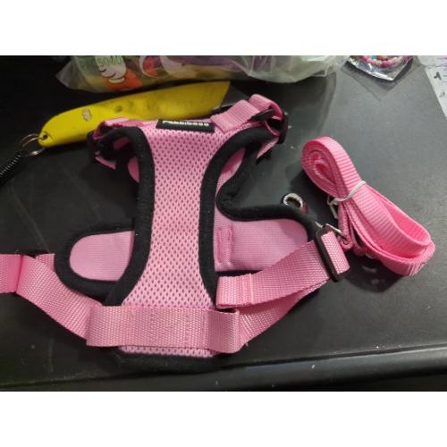 Size XS rabbitgoo Cat Harness and Leash for Walking, Escape Proof Soft Adjustable Vest Harnesses for Cats, Easy Control Breathable Reflective Strips Jacket, Pink