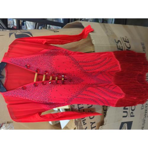 Professional Competition L Latin Dance Dresses for Women Ballroom Dancewear Waltz Costumes Cha Cha Performance Skirt