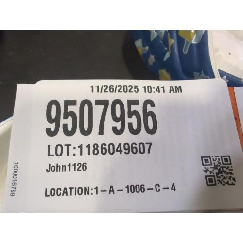 Crocs Kids' Classic Seasonal Graphic Clogs