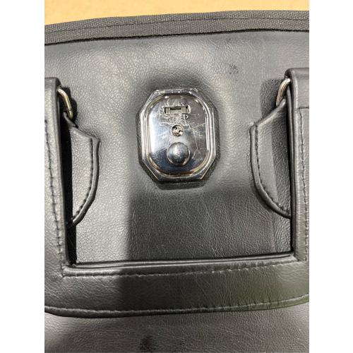 Generic Masonic Blue Lodge Master Mason Soft Apron Case for Freemasons