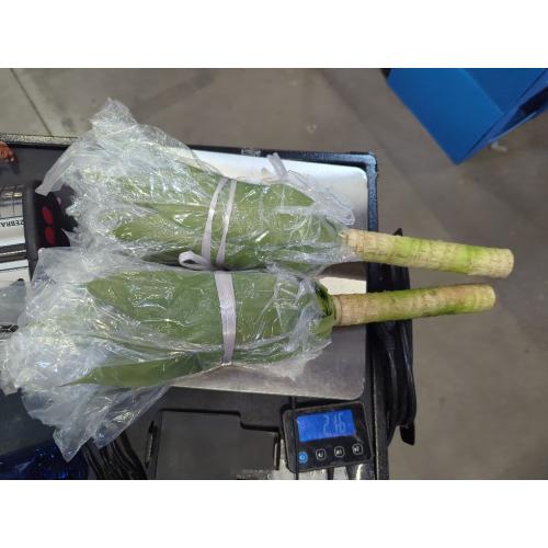 Velener Artificial Agave Plant Set,18 Inch, Faux Aesthetic Plants for Home Decor, Realistic UV Resistant Fake Agave Plants Without Pot, Set of 2