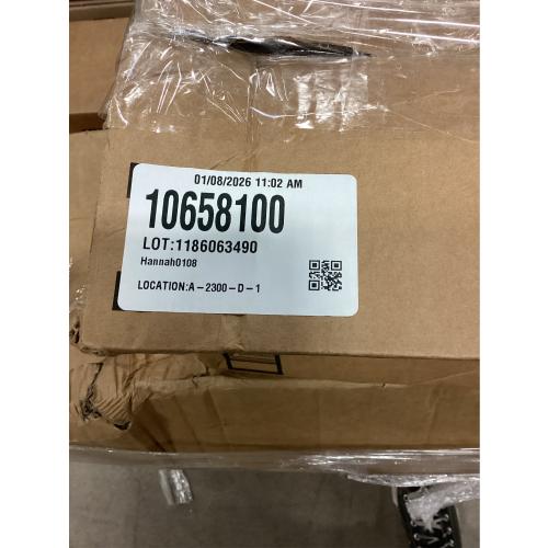 Darby Creek Trading Real Touch Green Norfolk Pine Branch Christmas Spray - 38