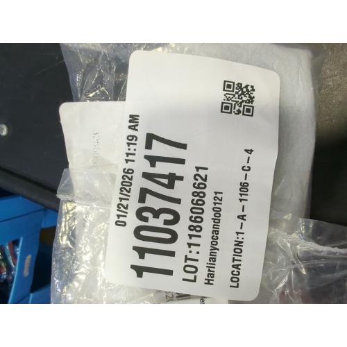 Signature Hardware 325509 5 Iron Surface Bolt