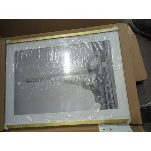 upsimples 20x30 Poster Frame, Display Pictures 16x24 with Mat or 20x30 Without Mat, Wall Hanging Picture Frame, Gold, 1 Pack