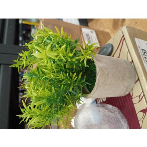 YZZY Artificial Potted Plants, 1Pcs Mini Fake Flower and Grass in Pot, Small Faux Plastic Greenery for House Decorations(Hedyotis #-520)