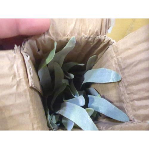 Size 20.9 Velener Artificial Staghorn Fern Plants Without Pot-20.9 Inches, Unique Waterproof Faux Staghorn Fern for Garden, Fall Autumn Decoration