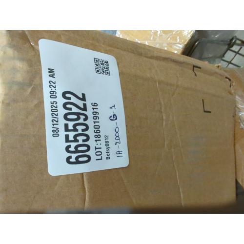 4G LTE Pan tilt security camera color black,RBX -S60