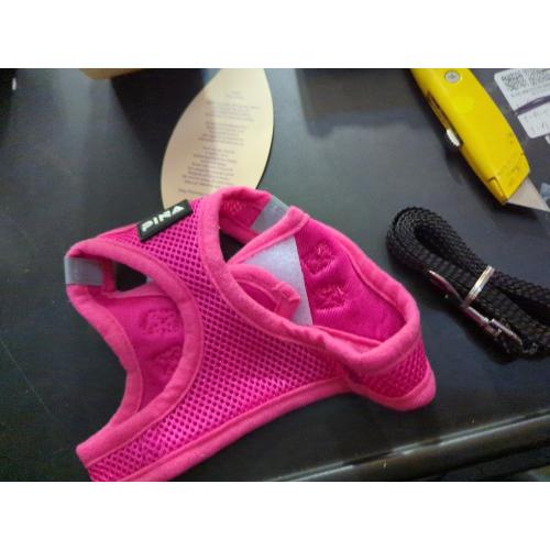 Size S PINA Dog Harness for Small Dogs No Pull, Small Dog Harness and Leash Set, No Choke Breathable Mesh Dog Vest Harness, Lightweight Adjustable Small Medium Dog Harness - Easy to Put On and Take Off
