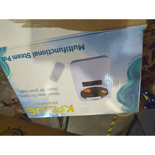 PEEKO Larger Sauna Steamer 4L, 1500W Steam Generator,Steamer Pot with Remote Control, Steam Cup, Timer, 16 Levels, 7.7”x 12.5”x9.1”，