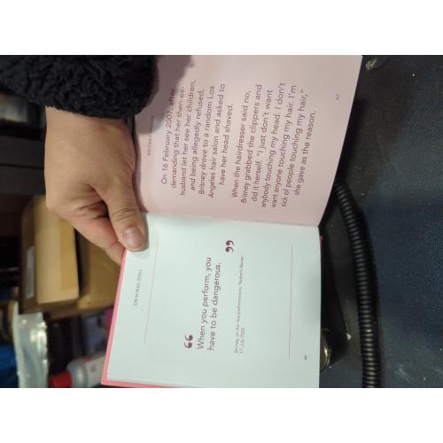 The Little Guide to Britney Spears: Stronger than Yesterday (Little Book)