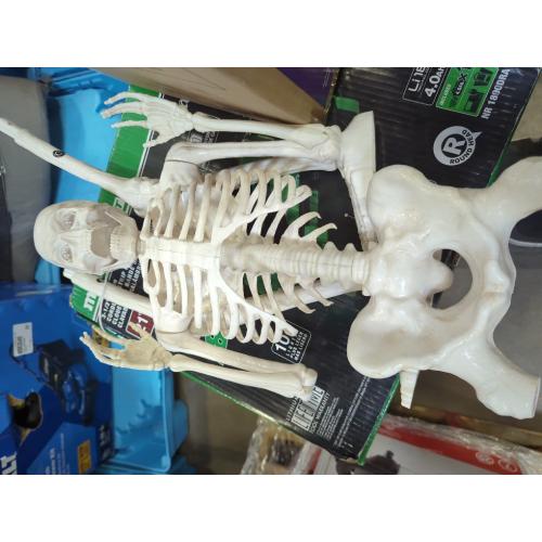 Haunted Living 3-ft Lighted Standing Skeleton