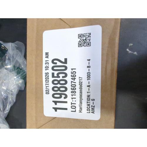 Mini Christmas Lights String Warm White Vintage Short Strand String Lights, Clear Bulbs Wire Fit Light up Christmas Decorations(20 Bulbs Connectable,5ft,Green)