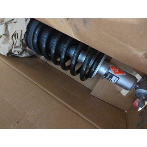Suspension Strut and Coil Spring Assembly