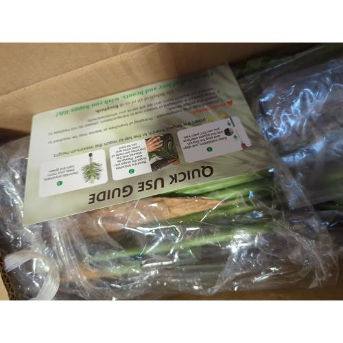 Artificial Palm Tree 4ft Tall Fake Indoor Decor with 13 Trunks and Real Bark Design Faux Tropical Areca Silk Floor Plant in Pot for Home Office Living Room Bedroom 1pcs