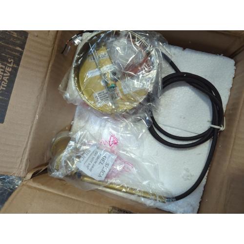 Living District Collier 1 light Gold