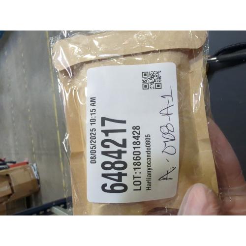 Herbal Capsules DAUN INSULIN 100 capsules 100% Pure insulina leafs Contents 600MG 100% Organic Wildcrafted Natural Herbal