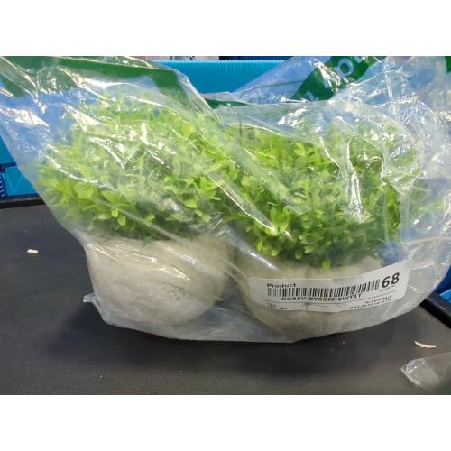 Velener 2Pcs Mini Artificial Boxwood Topiary Faux Plants Indoor- Small Fake Plants Decor Magnolia Home Office Desk Cubicle Farmhouse Kitchen Bookshelf Bedroom Bathroom Decor, Aloe Vera Zen Garden