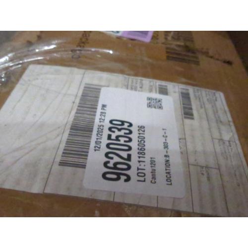 Belo Upholstered King Platform Bed White