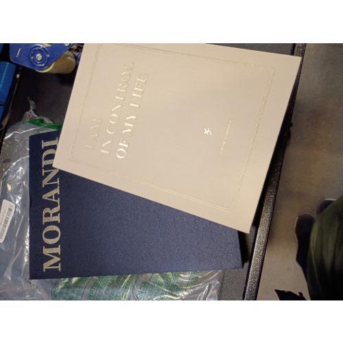 Decorative Books for Home Decor - Set of 2 Fake Books for Decoration, Faux Book Storage Box Enhance Your Coffee Table, Bookshelf & Mantel Shelf Decor, Linen Book Decor Aesthetic Set, Books Decor