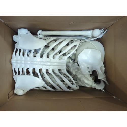 7.9ft Halloween Giant Skeleton, Tall Outdoor Skeleton with Full Body Posable Joints, Scary Plastic Large Skeleton for Halloween Haunted House Spooky Scene Decorations