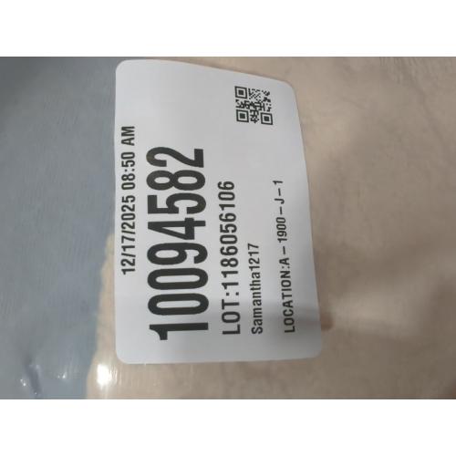 Delta Children Lion Cozee Buddy Chair, Orange