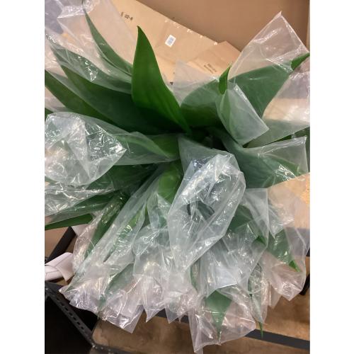 Velener Artificial Agave Plant,18 Inch, Faux Aesthetic Plants for Home Decor, Realistic UV Resistant Fake Agave Plants Without Pot, Set of 1