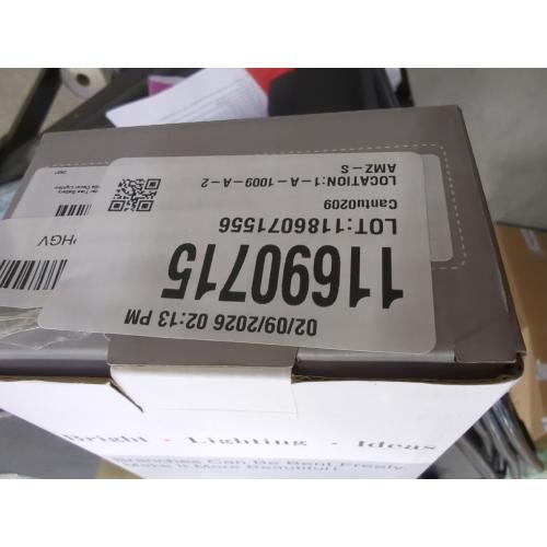 PEIDUO Christmas Decorations Indoor, 2 FT Birch Tree with LED Lights, Fairy Light Spirit Tree for Christmas Decor, Warm White Lighted Birch Trees for Home Decor Indoor, Battery Powered, Timer (2PK)