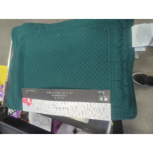 Nicole Miller Set Of 4 Green Placemats 13 x 19