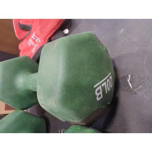 Amazon Basics Neoprene Dumbbell Hand Weights for Exercise and Muscle Toning