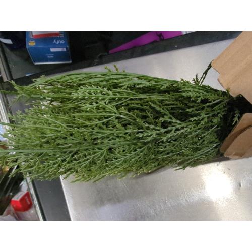 Hananona 40 Pcs Artificial Cedar Picks Faux Cedar Branches Fake Cypress Stems Plastic Pine Greenery Christmas Picks and Sprays DIY Accessories for Crafts Wreath Holiday Home Decor (40, Green)