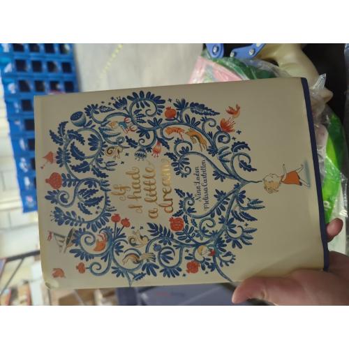 If I Had a Little Dream (Hardcover)