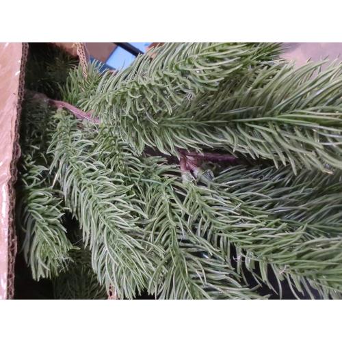 6ft Pre-Lit Christmas Garland, Artificial Lighted Norfolk Pine Garland with Multi-Color Lights, Battery Operated Garland for Mantle Stairs Table Fireplace Xmas Decoration Outdoor & Indoor