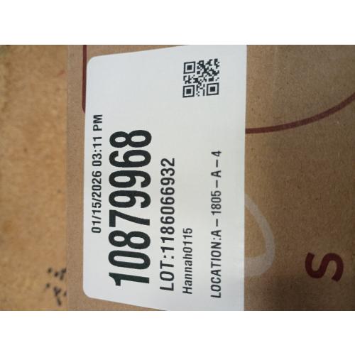 Gusto Nostro Stainless Steel Wine Glass - 18 oz - Cute, Unbreakable Wine Glasses for Travel, Camping and Pool - Fancy, Unique and Cool Portable Metal Wine Glass for Outdoor Events, Picnics (Set of 2)