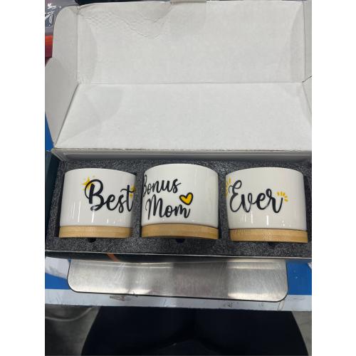 Rosa Vila Bonus Mom Planters, Bonus Mom Gifts from Son & Daughter, Best Ever Gifts for Stepmom Gifts for Mother-in-Law, Stepmom Presents for Birthday, Presents for Your Second Mother