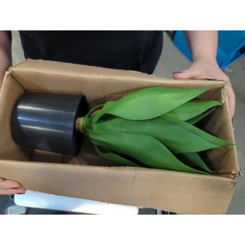 Velener Fake Agave with Burlap Bag, Artificial Plant Outdoor Agave - Fake Plants for Indoor and Outdoor Decor(15 Inch)