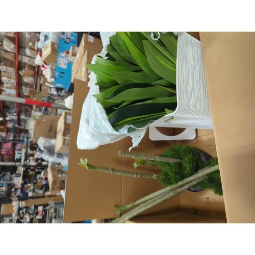 VeriNatural 5FT Artificial Dracaena Tree - UV Resistant Faux Tropical Plant, Potted Fake Tree with Taper Planter & Pebbles - Indoor Outdoor Greenery for Home, Porch, Living Room, Bedroom Decor, VN127