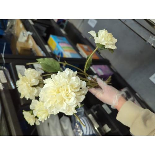 5pcs Artificial Big Heads Ranunculus Flower Branches 4 Forks Silk Peony with Long Stem (Champagne)