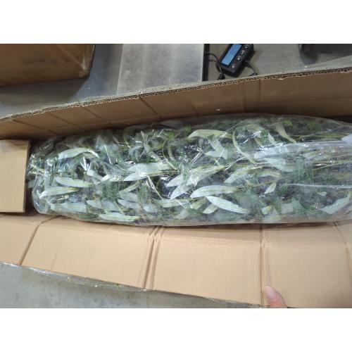 Artificial Fake Olive Tree 6FT Tall 1Pack with White Planter Faux Silk Olive Tree for Home Living Room Office Decor Faux Artificial Plants Indoor with Fruit & Free Moss