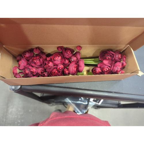 Set of 18 Color red Letjolt Ranunculus Artificial Flower 18 Pcs Red Silk Ranunculus Wedding Bouquet Engagement Centerpieces Arrangements Bridal Shower Decorations Home Decor, Dark Red