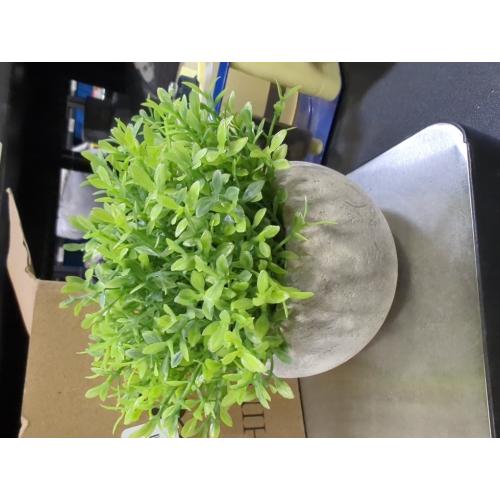 Velener 2Pcs Mini Artificial Boxwood Topiary Faux Plants Indoor- Small Fake Plants Decor Magnolia Home Office Desk Cubicle Farmhouse Kitchen Bookshelf Bedroom Bathroom Decor, Aloe Vera Zen Garden